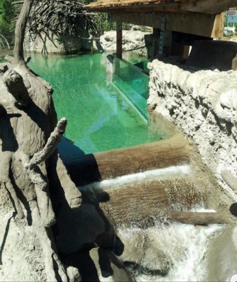 Detroit Zoo Beaver Exhibit Waterfall 